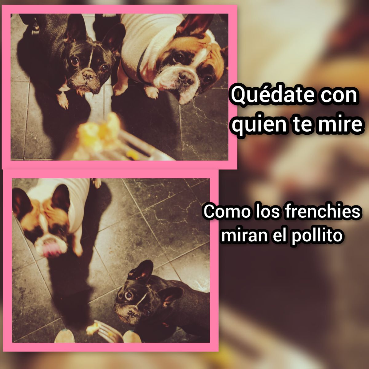 Experiencia 2