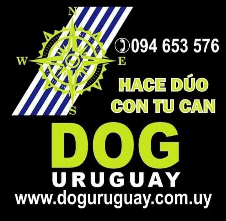 Dog Uruguay