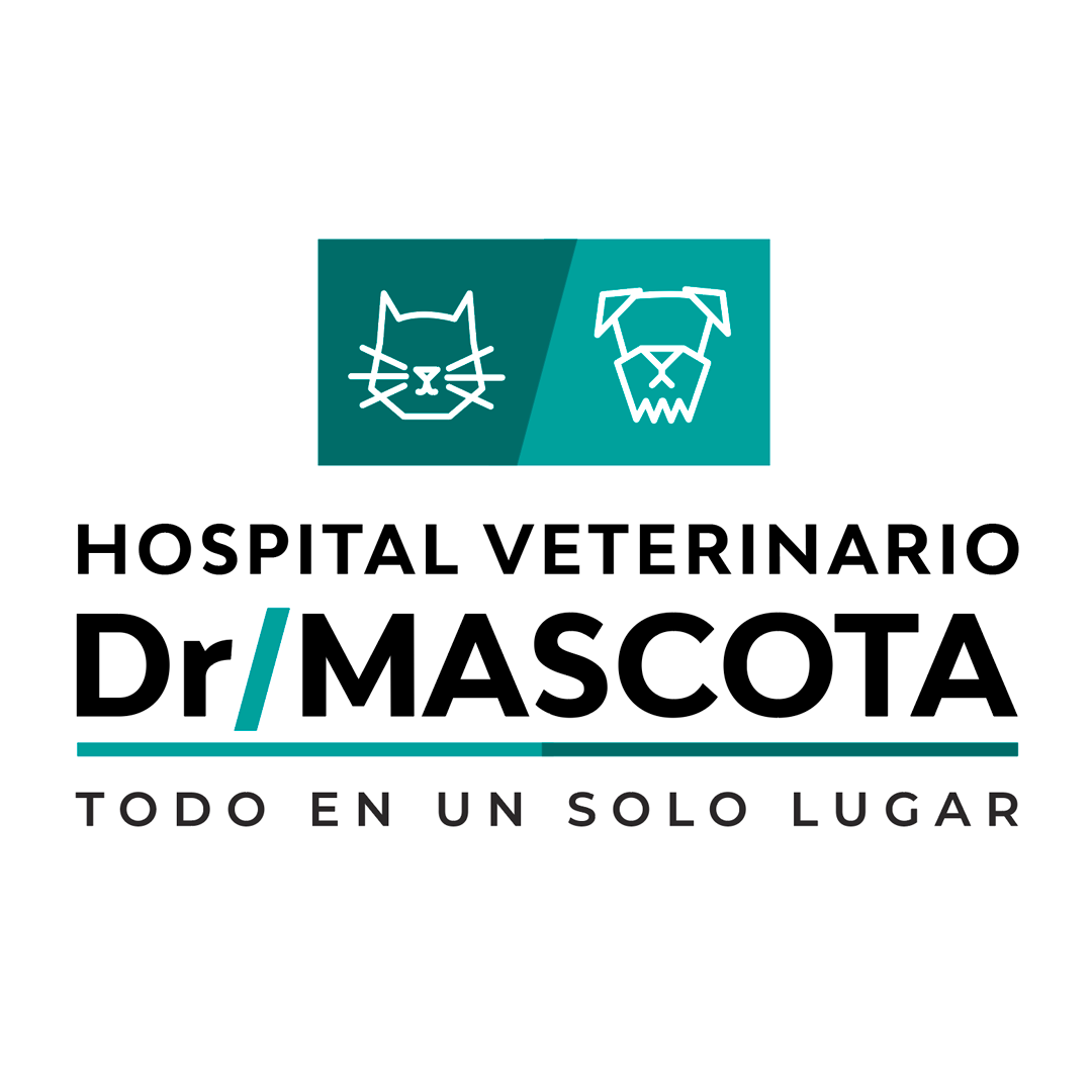 Hospital veterinario Dr.Mascota