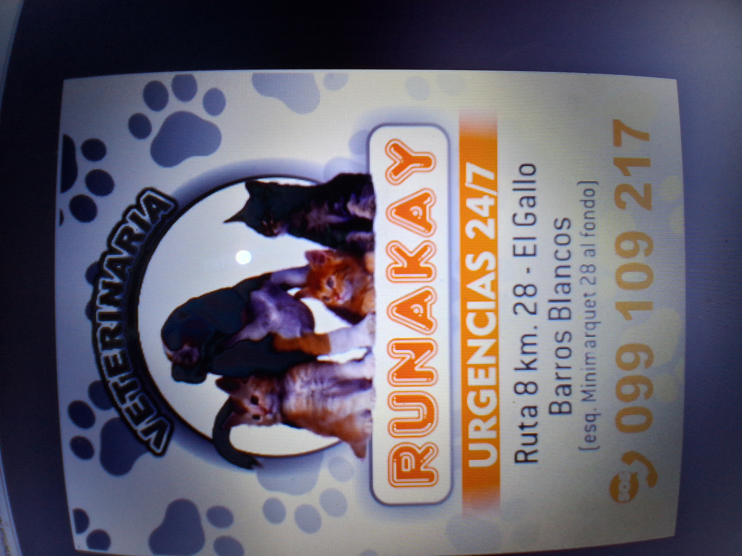Veterinaria Runakay