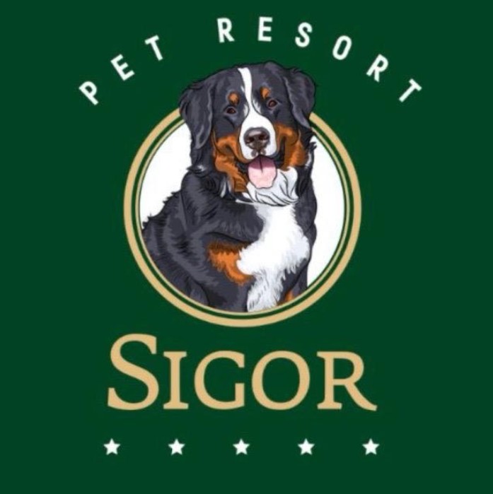 Sigor Hotel para Mascotas